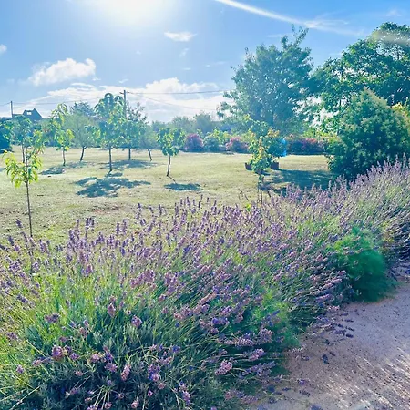 Laste Kemping Smokovic