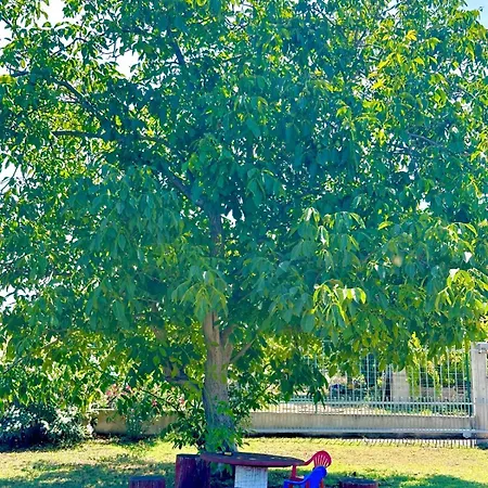 Kemping Laste Smokovic