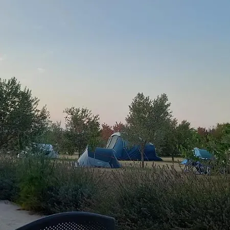 Laste Camping Smokovic