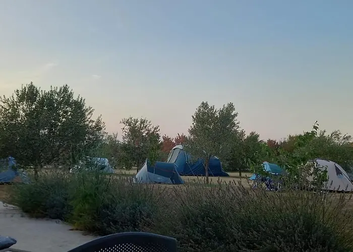 Laste 캠프장 Smokovic