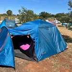 Laste Camping
