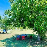 Camping Laste