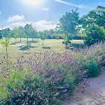Laste Camping Smokovic