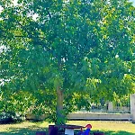Camping Laste Smokovic